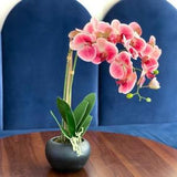Real Touch Orchid Flower Arrangement, Orchid Florals, Artificial Flowers, Home Decor, Gift, Faux Flowers, Events, House Warming, For Her