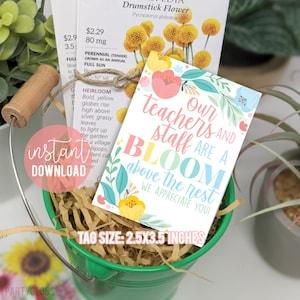 Teacher Appreciation Printable Tags | Our Teachers Staff | Teacher Staff Gift Spring | Flowers Seeds Teacher | PTO PTA Staff Appreciation