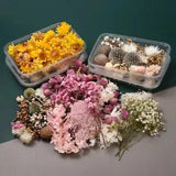 1 Box Mixed Dried Flowers Plants for Candle Epoxy Resin Jewelry Making DIY Craft