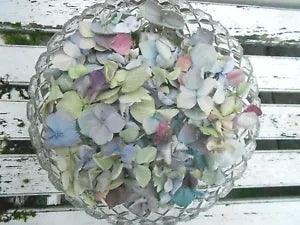 Dried Hydrangea Petals, 10 Cups Wedding, Flower Girl, Confetti, Potpourri, Craft