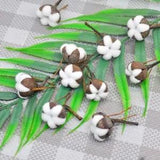 12 Artificial Kapok Natural Dried Flowers Simulation Cotton Wedding Decoration