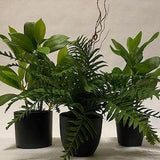 Artificial Pop-up Garden Greenery (Set of 3)