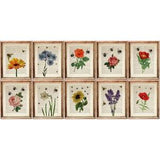 Botanical Prints Vintage, Set of 10 Prints, Botanical Wall Art Set, Sunflower Print Art, Flower w Bee Dictionary Art Print