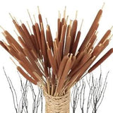 45Pcs Large Natural Brown Cattails Bundles - Dried Flowers Real Cat Tails for De