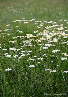 Make Hay While the Sun Shines and a Blooming Monogram Flower Delivery