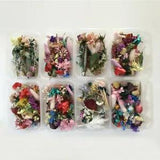 Dried Flowers Craft 1Box Making Jewellery For DIY Art Resin Epoxy Real Pendant