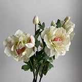 Faux Garden Rose Stem - High Quality Artificial Flower / Wedding / DIY / Floral / Home Decor / Gifts / Cream White