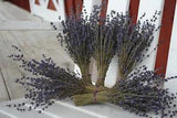 5 8" Lavender Bunches - 5 Bunches - 8" Long - 100-150 stems/bunch