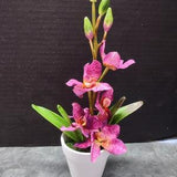 Cute little Artificial Vanda Orchid in white pot
