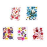 Mixed Multiple Pressed Flowers Real Pressed Dried Flowers Natural Dried Flowers