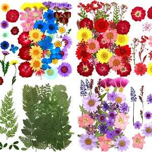 121 Pcs Real Dried Pressed Flowers Leaves Petals for Epoxy Resin,Natural Daisy D