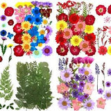 121 Pcs Real Dried Pressed Flowers Leaves Petals for Epoxy Resin,Natural Daisy D