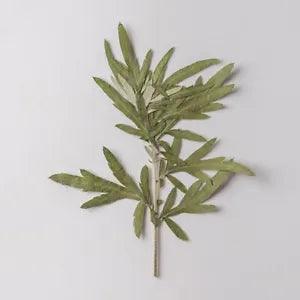 12PCS Real Pressed Dry Grass Leaves, Floral Supply for art craft FSS22