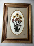 Framed Pressed Wildflower Handmade Art in Recycled Frame Signed PA Artist 11x15"