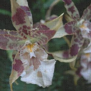 Jigsaw Puzzle Dancing Lady Orchid, Botanical Garden Flower Floral Game for Adult Kids Family Friends Everyone