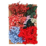 Natural Dried Flowers Multiple Real Dried Pressed Flowers Plant Multicolored