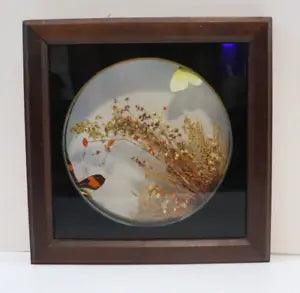 Reinhold imports Dried Flowers Butterfly Frame Brazil