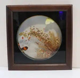 Reinhold imports Dried Flowers Butterfly Frame Brazil