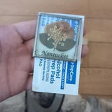 Real Pressed Nantucket Fern Square
