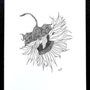 Sunflower | Pen & Ink Illustration