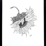 Sunflower | Pen & Ink Illustration