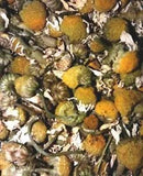 Organic Dried Roman Chamomile Buds - Chamaemelum nobile - Natural Flower Herb