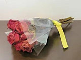 Real Air Dried 12 Red Long Stemmed Roses Flowers Bouquet (NEW) PSJ