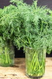 Best Way to Store Fresh Herbs (2 Easy Methods) Flower Delivery