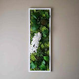 Succulent wall art , White Orchid wall decor, Faux succulents moss art, 37"x13" White/Black/Gold Frames