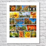 Decorative photo - Mosaic of 16 photos with the theme of image, landscape and colorful autumn leaves, printing on fine art photo paper.