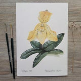 Original gouache painting 
