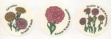 Vtg 1980s CTP Sniffy's Scratch And Sniff Carnation Flower Matte Sticker Strip