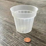 3??? round sturdy translucent orchid pot, Clear plastic pot, Plastic flower pot for orchids, Clear seedling orchid pot, small plastic pot