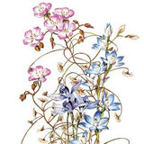 Australian Wildflowers Watercolour Original Vintage Print ??C Bridal Rainbow, Sun Orchid & Blue Fairy Orchid- Unique Gift - Botanical (10)