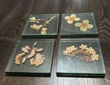 Dried Pressed Flower Glass Frame Vintage Square 3.5