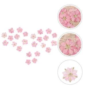 24 Pcs Bamboo Dried Flower Mobile Phone Case Material DIY Accessories