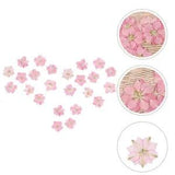24 Pcs Bamboo Dried Flower Mobile Phone Case Material DIY Accessories