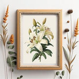 Vintage White Lily Bouquet Print, Botanical Wall Art, Mid Century Vintage, Printable Wall Art, Antique Flower Print, Flowers Wall Art,