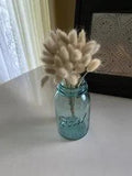 Dried BUNNY TAILS Bunch BOUQUET Bundle RABBIT TAILS