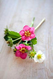 ? freshly cut Flower Delivery
