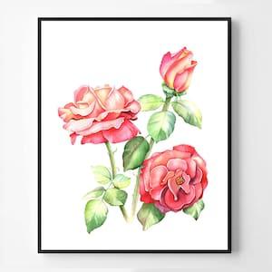 Roses Print, Coral Rose Gicl¡§?e Watercolor Print, Floral Wall Art, Rose Watercolor Vintage Print, Rose Poster Modern Flower Art