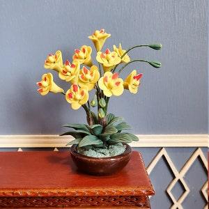 Dollhouse Miniature Potted Orchid Yellow Flowering Plant in Pot 1:12 Scale