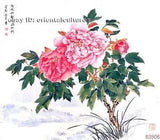Chinese 100% real natural silk thread,su hand embroidery kits:peony flower 9