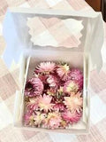 Straw Flowers