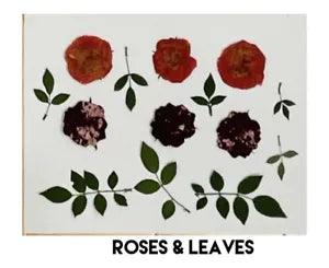 Real Pressed ??Rose Flowers & Leaves For DIY Crafts | Candles | Soap | Framing
