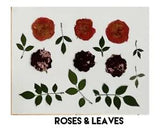 Real Pressed ??Rose Flowers & Leaves For DIY Crafts | Candles | Soap | Framing