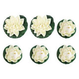 water lily flower Lily Pads for Ponds Water Lily Floating Water Lily Pond Lily