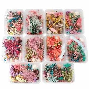 1 Box Dried Flower Dry Plants For Aromatherapy Candle Epoxy Resin Pendant