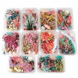 1 Box Dried Flower Dry Plants For Aromatherapy Candle Epoxy Resin Pendant