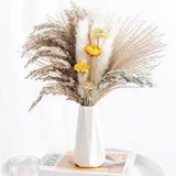 31 Pcs Dried Pampas Grass Natural Floral Decor Plants for Home pampas06-31pcs